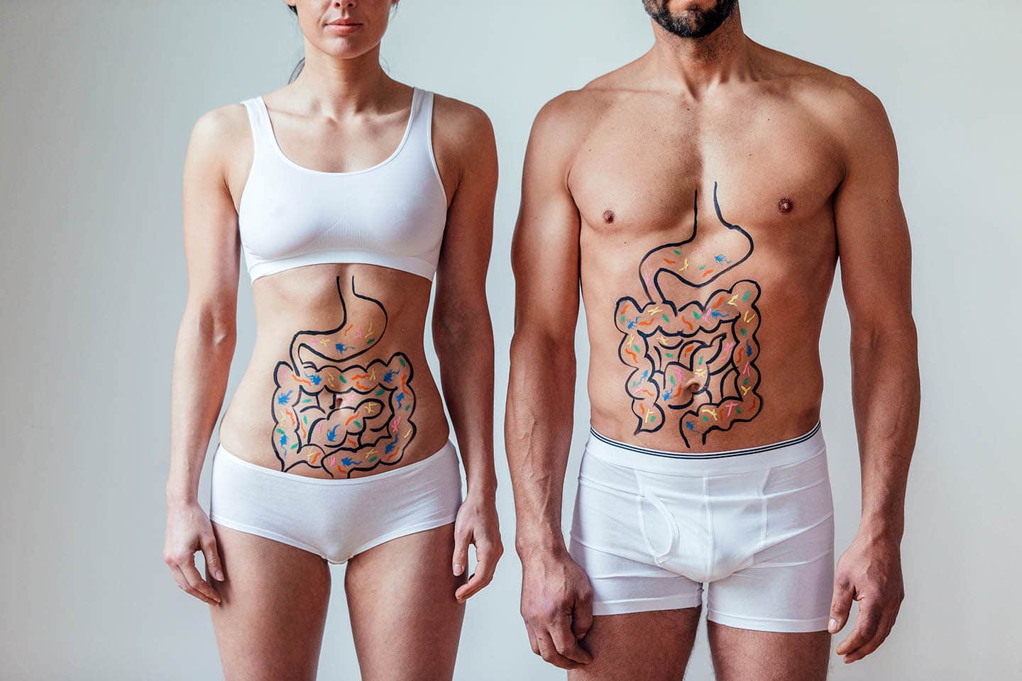 A healthy man and woman in their underwear, with illustrations of their gastrointestinal tract drawn on their stomachs