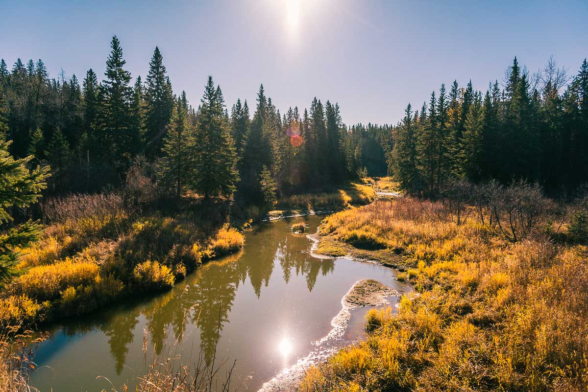 Whitemud creek, Edmonton, AB