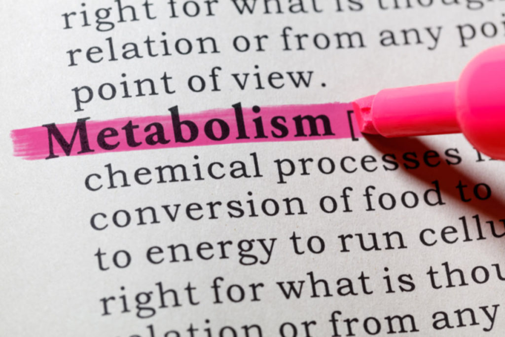 four-things-you-misunderstand-about-your-metabolism-muscle-matters