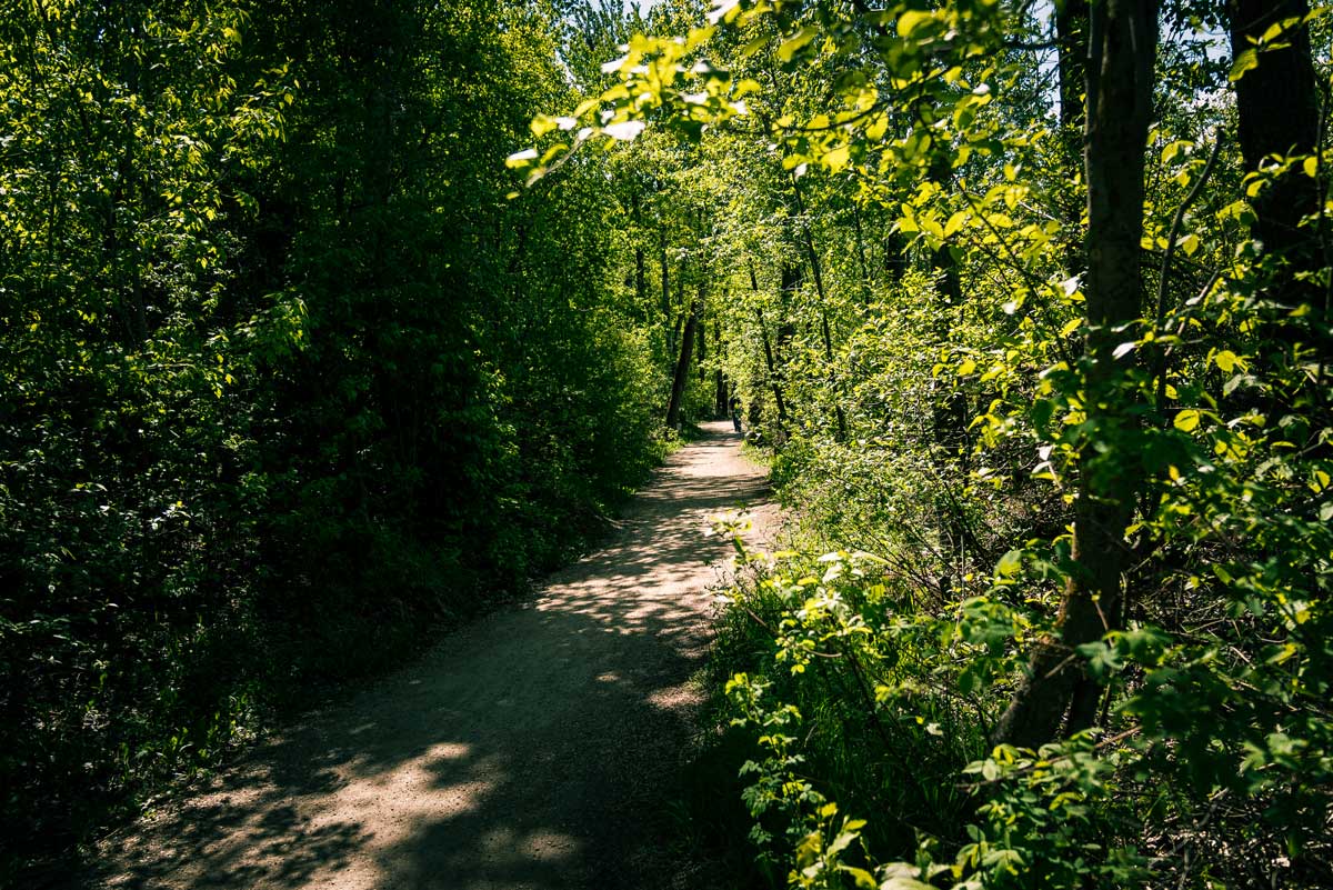 Fort Edmonton Park Trail