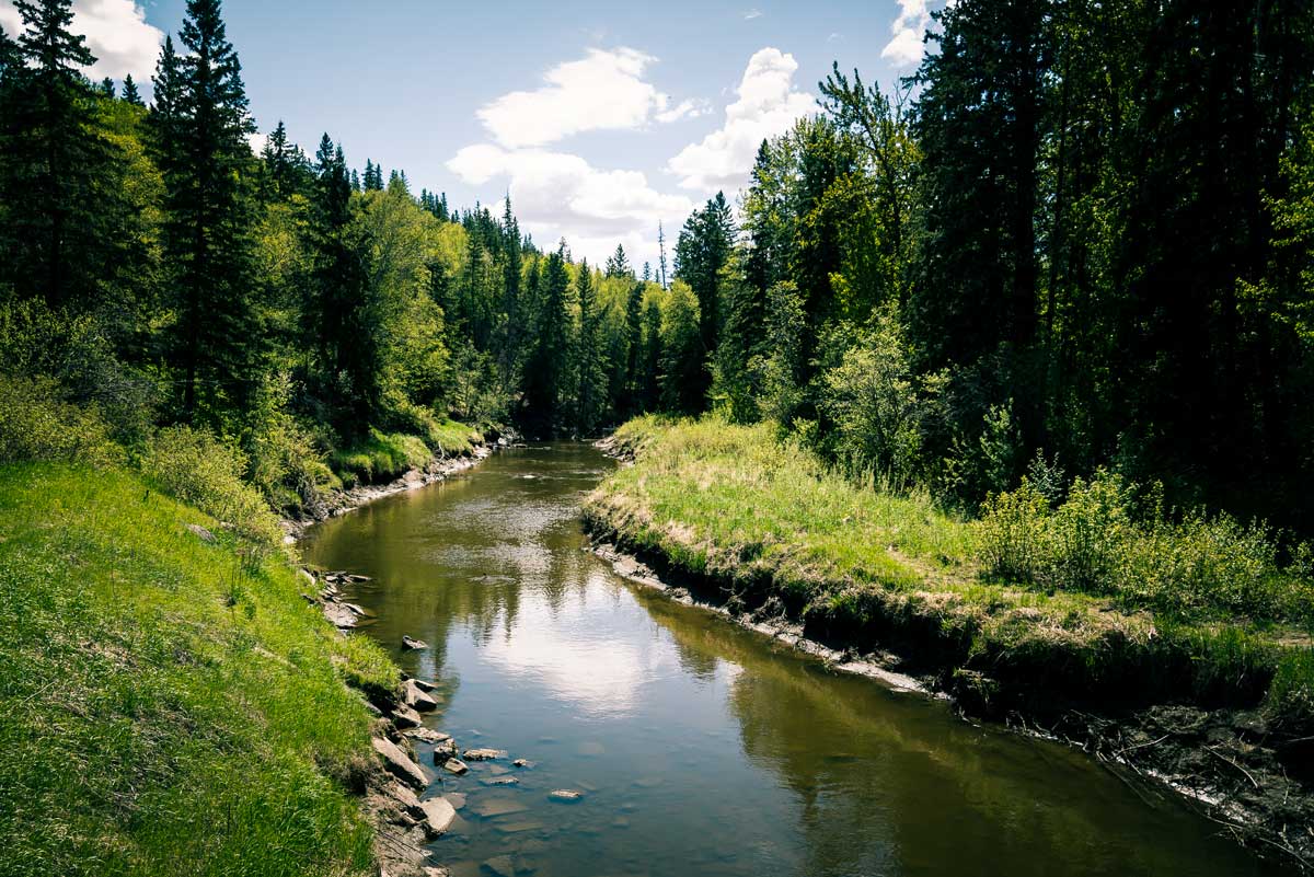 Whitemud Creek